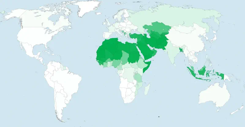 Карта аккаунтов America First