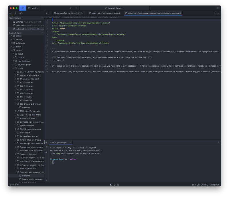 Скриншот редактора Lapce