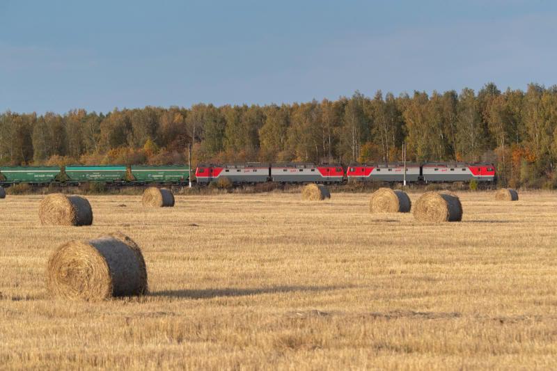 Новая статистика про РЖД