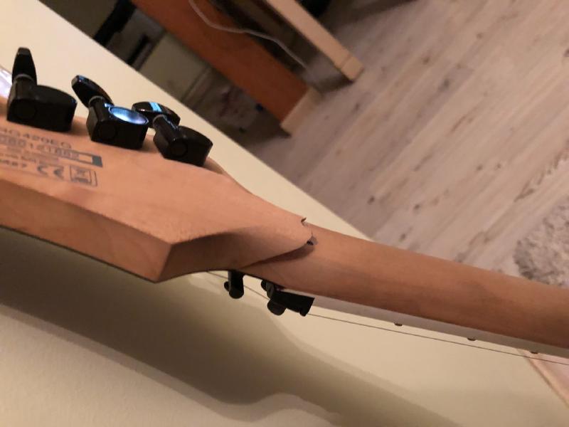 Возвращение гитары